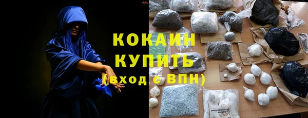 шишки Корсаков