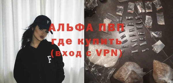 шишки Корсаков