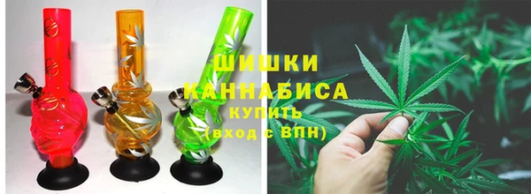 шишки Корсаков
