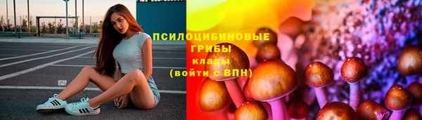 шишки Корсаков