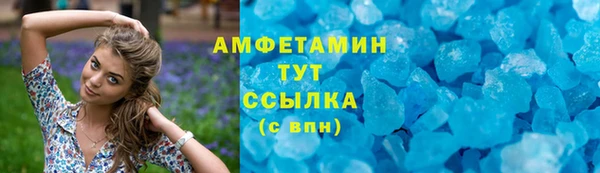 шишки Корсаков
