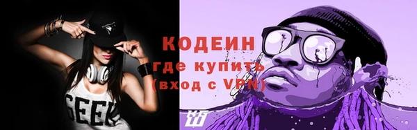 шишки Корсаков