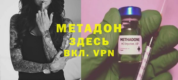 шишки Корсаков
