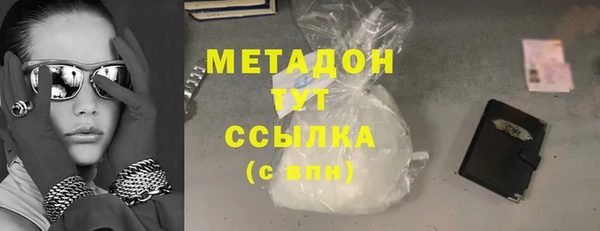 шишки Корсаков