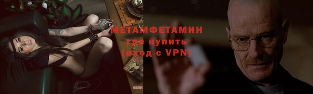 шишки Корсаков