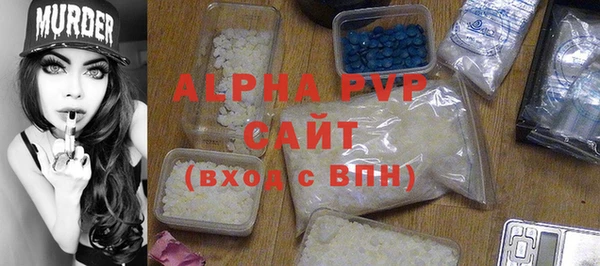 шишки Корсаков