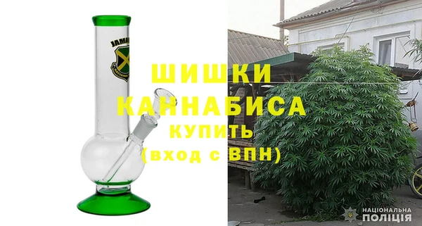 шишки Корсаков